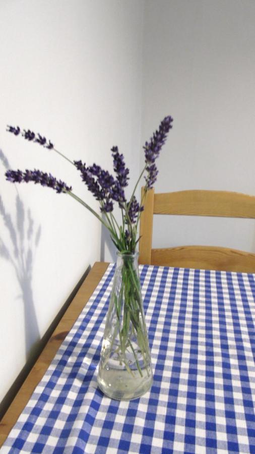 Apartament Aleksander Цехоцинек Екстер'єр фото
